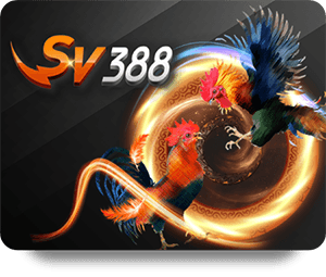 Winning Odds Explained in ZingPlay Slot Baccarat